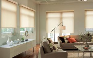 Designer Roller Shades Colorado springs Designer Roller Shades Colorado springs